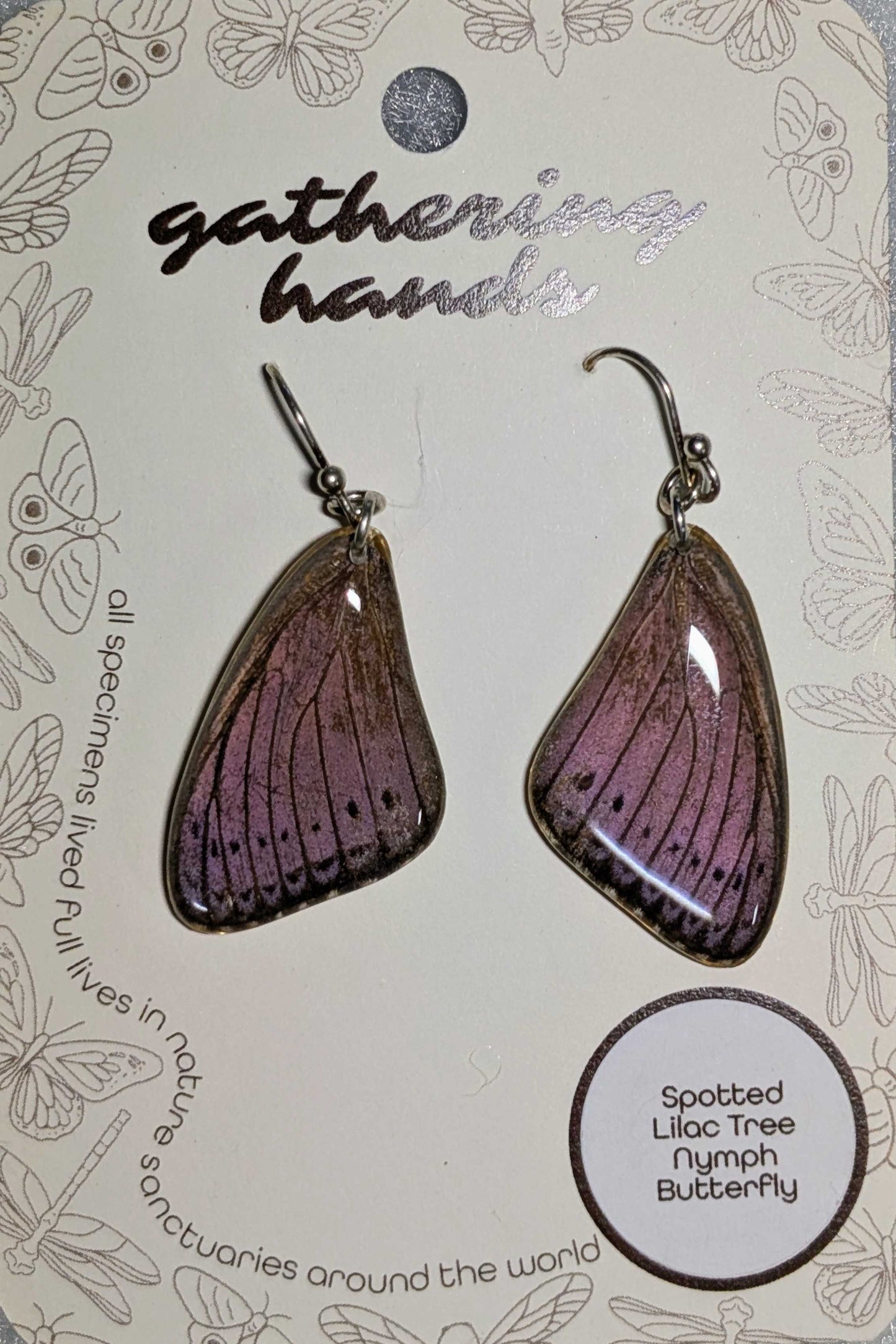 Spotted Lilac Tree Nymph Forewing Earrings