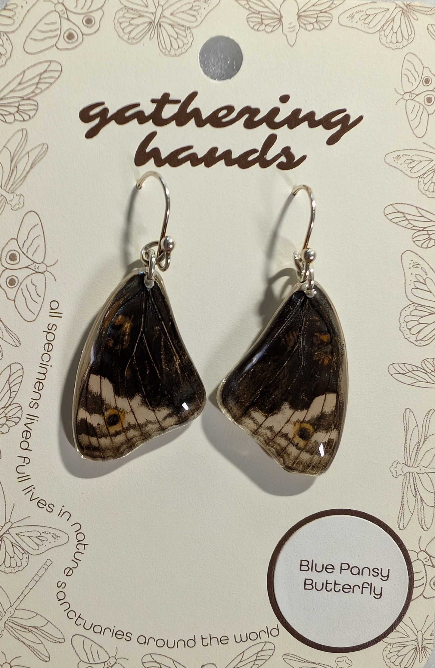 Blue Pansy Forewing Earrings