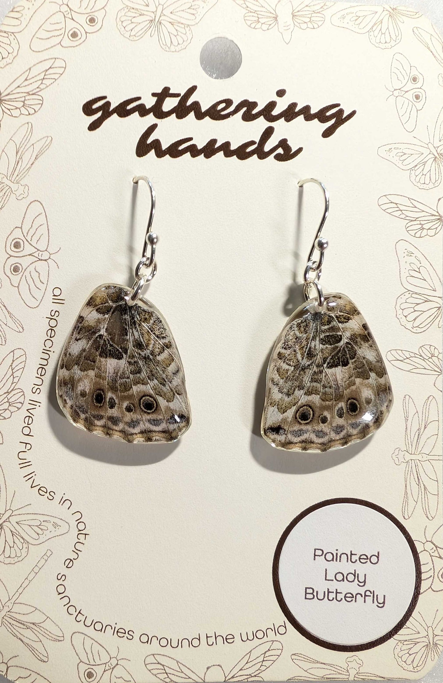 Painted Lady Hindwing Earrings