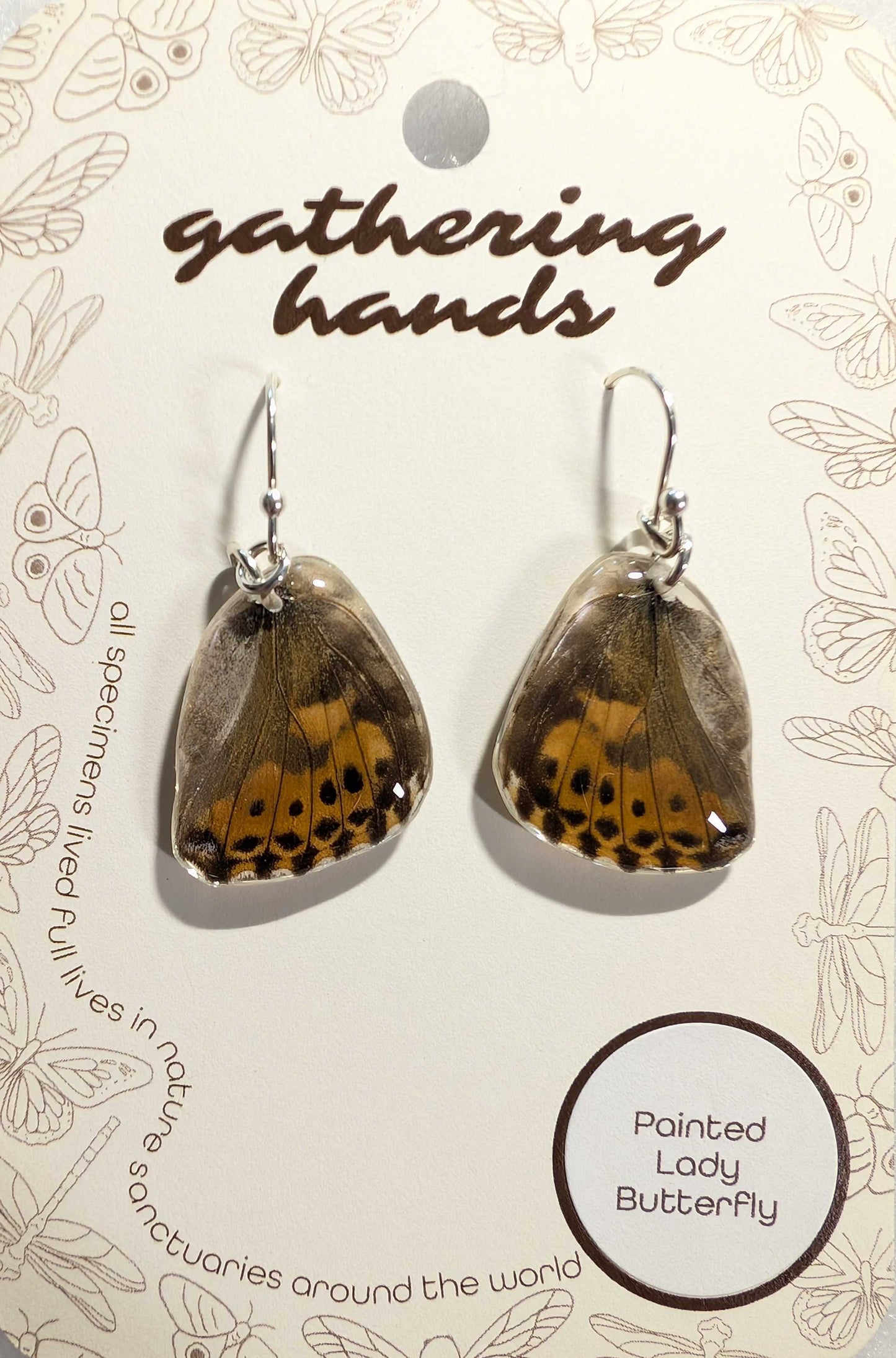 Painted Lady Hindwing Earrings