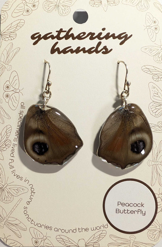 Peacock Hindwing Earrings