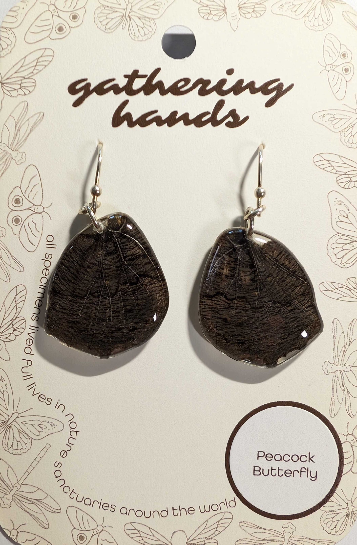 Peacock Hindwing Earrings