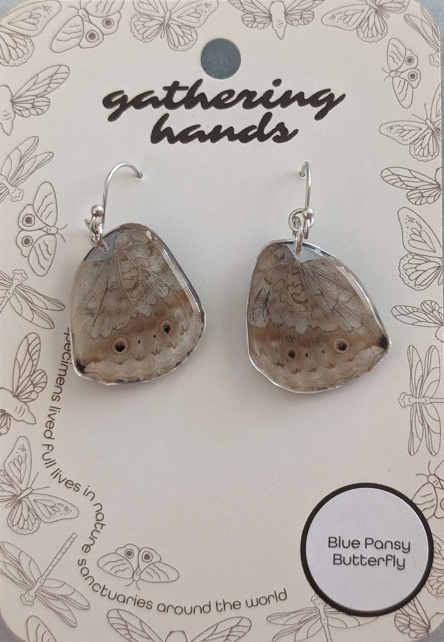 Blue Pansy Hindwing Earrings