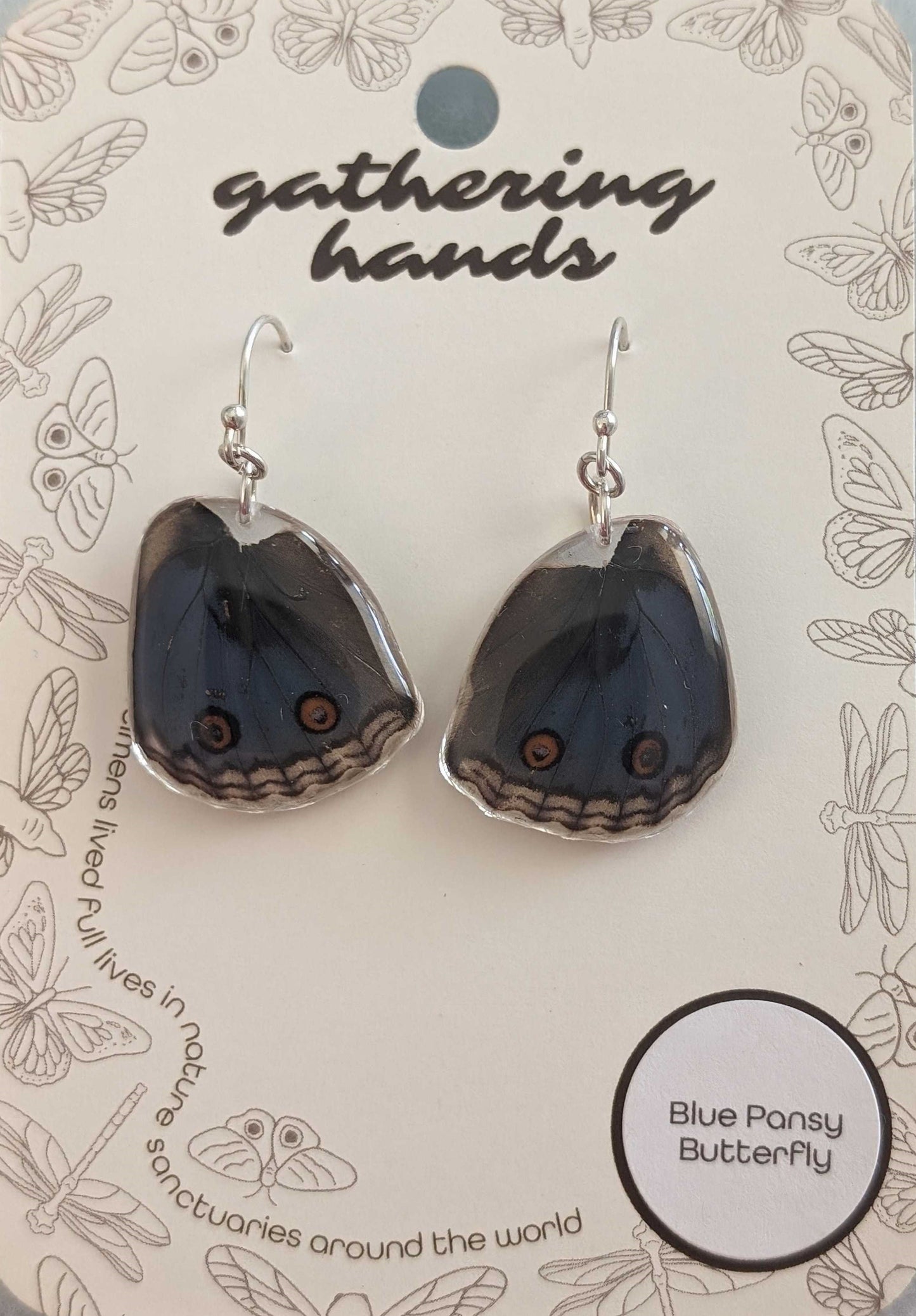 Blue Pansy Hindwing Earrings