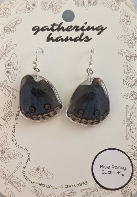 Blue Pansy Hindwing Earrings