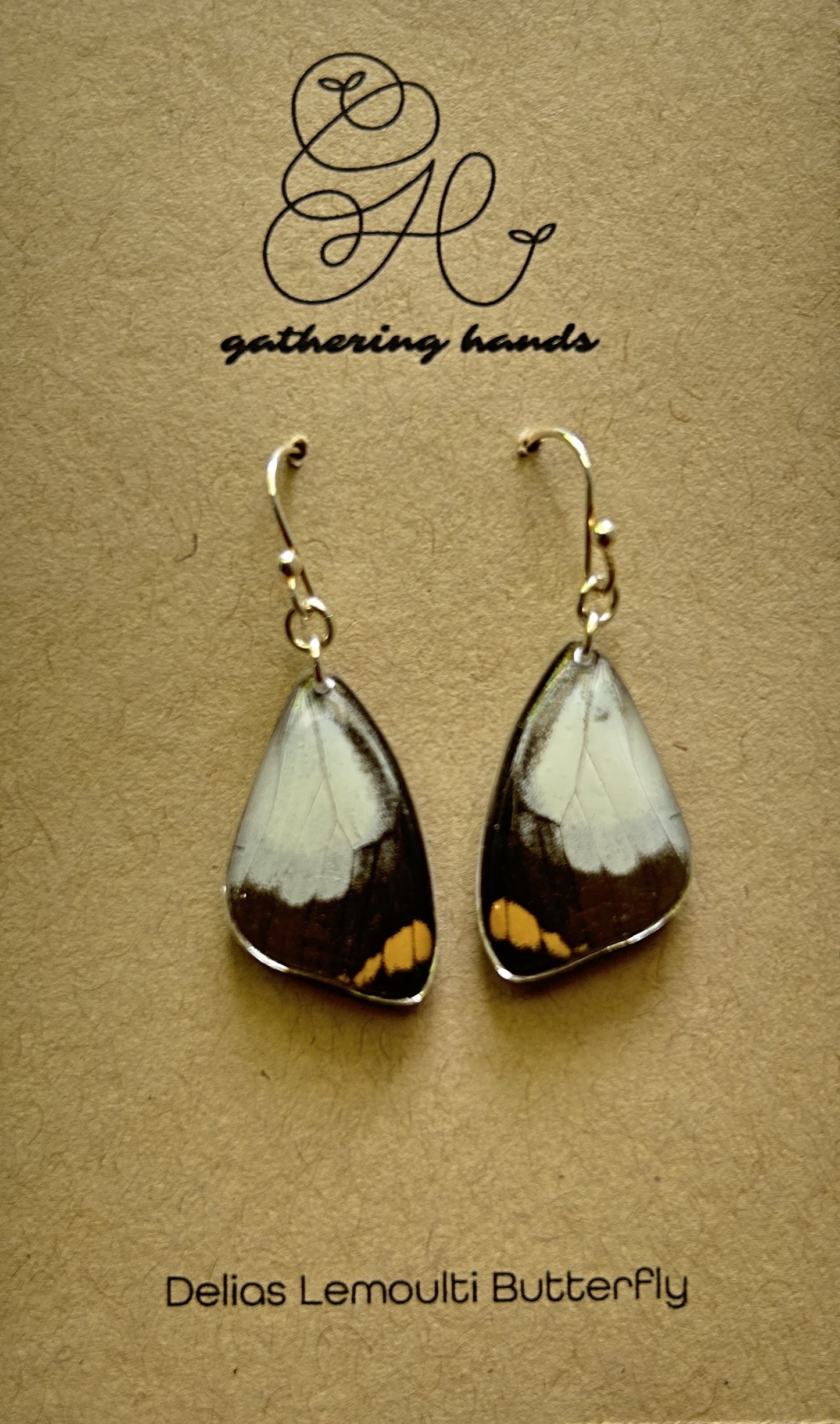 Delias Lemoulti Forewing Earrings