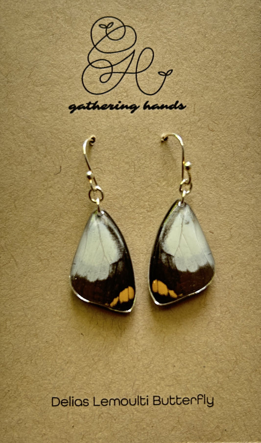 Delias Lemoulti Forewing Earrings