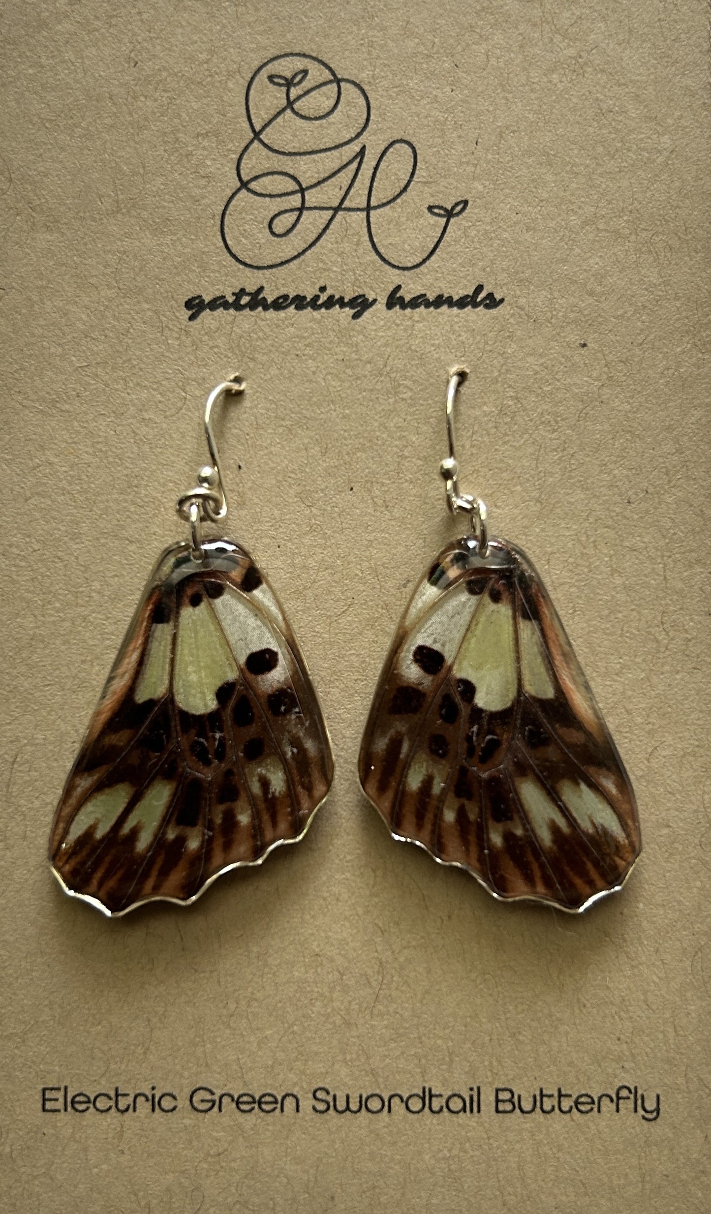 Electric Green Swordtail Hindwing Earrings