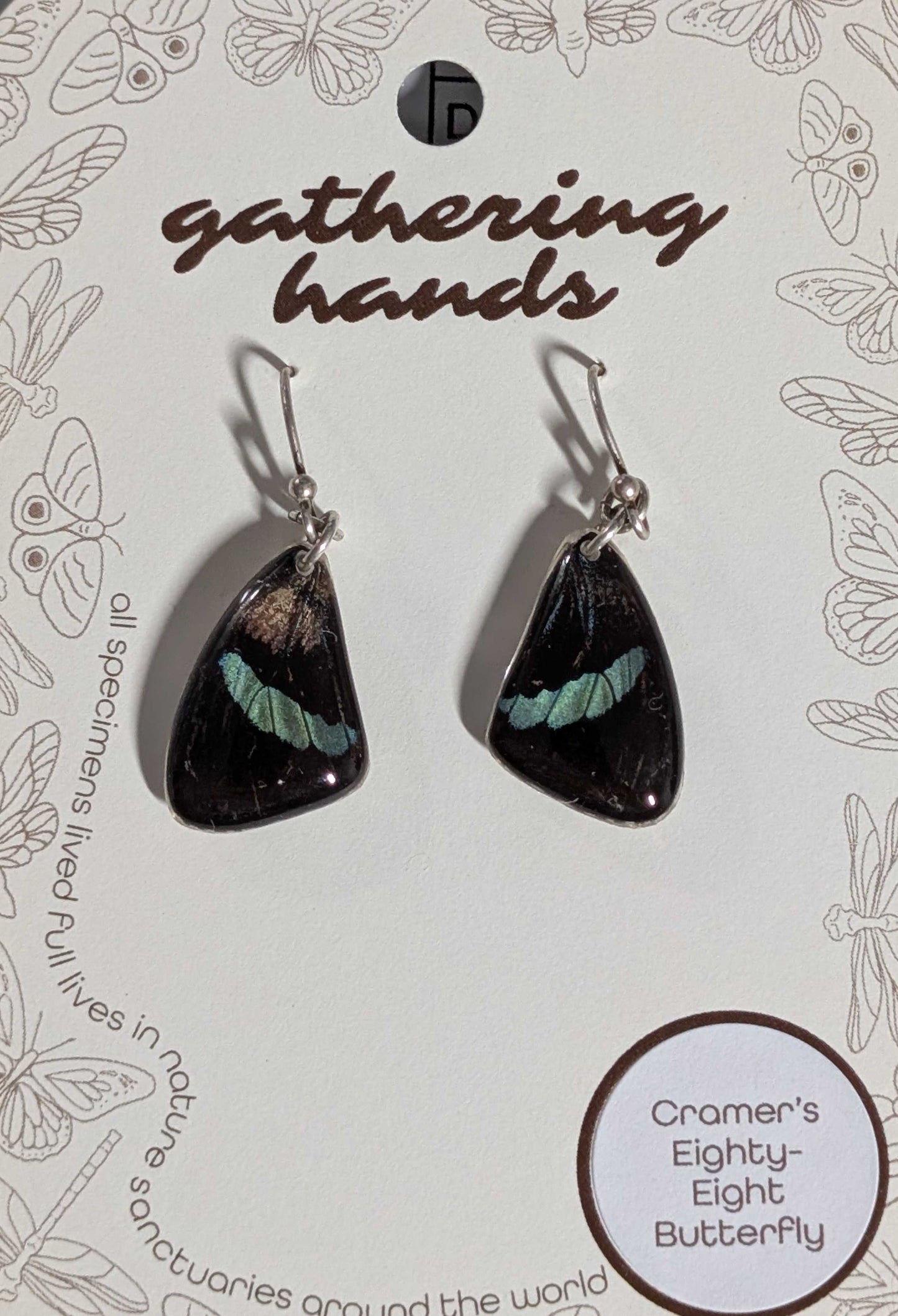 Cramer's Eighty-Eight Forewing Earrings