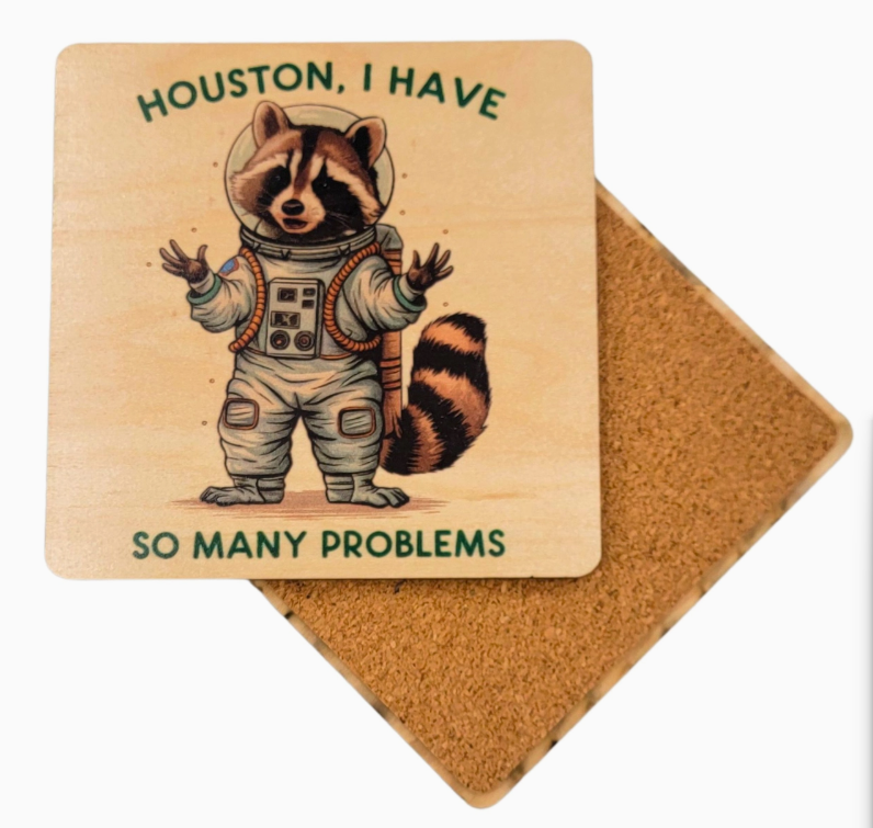 So Many Problems Wood Coaster, 2pk