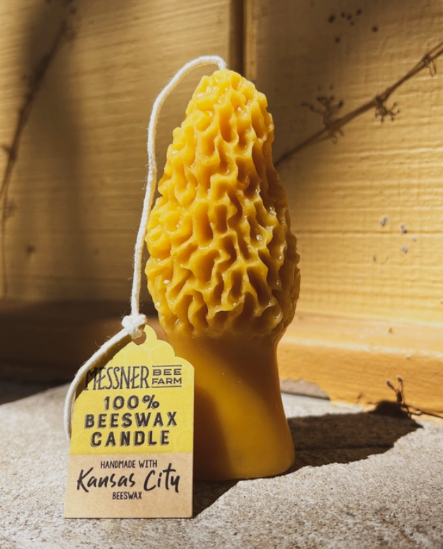 Morel Mushroom Candle
