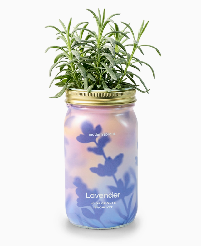 Herb Garden Jar