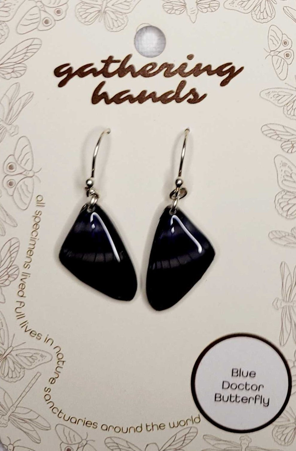 Blue Doctor Forewing Earrings