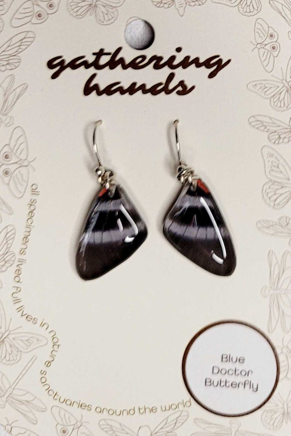 Blue Doctor Forewing Earrings