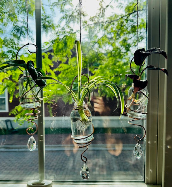 Hanging Propagation Suncatchers
