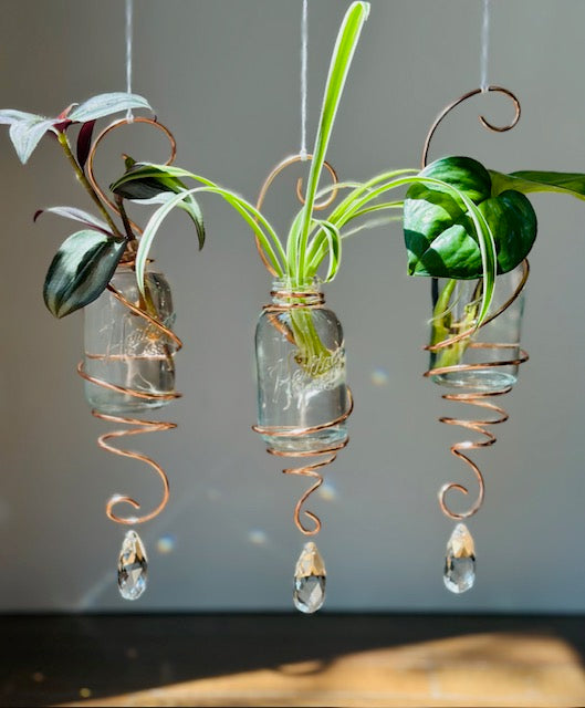 Hanging Propagation Suncatchers