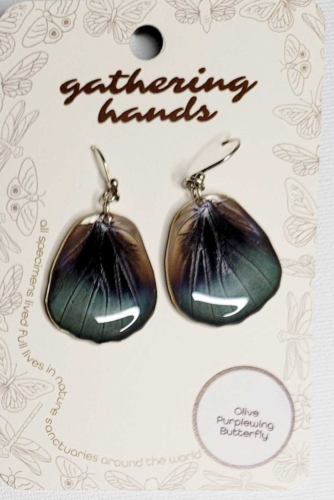 Olive Purplewing Hindwing Earrings