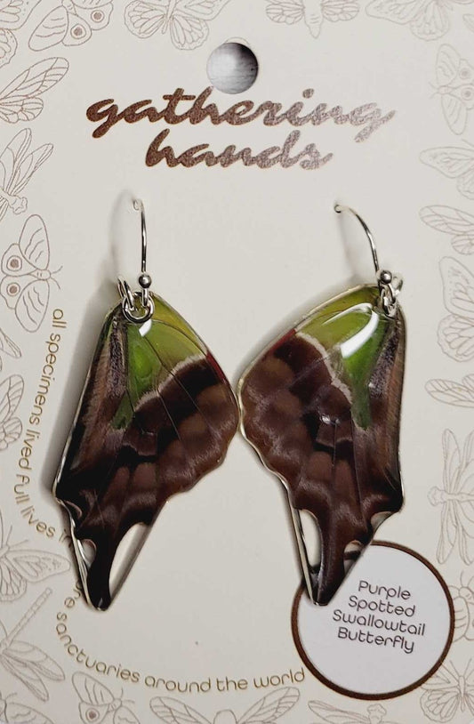 Purple-Spotted Swallowtail Hindwing Earrings