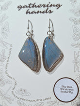 Load image into Gallery viewer, Sky-Blue Hairstreak Forewing Butterfly Earrings
