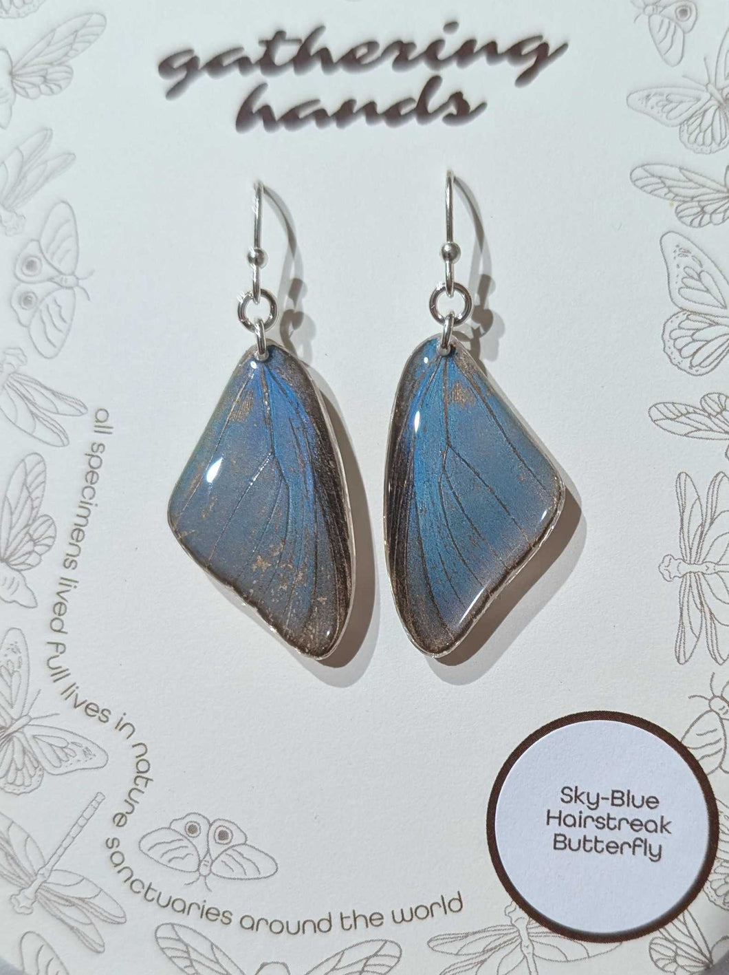 Sky-Blue Hairstreak Forewing Butterfly Earrings