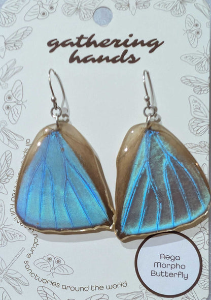Aega Morpho Hindwing Butterfly Earrings