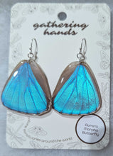 Load image into Gallery viewer, Aurora Morpho Hindwing Butterfly Earrings
