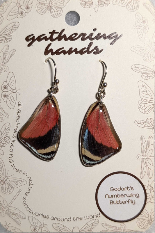 Godart's Numberwing Forewing Earrings