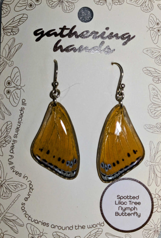 Spotted Lilac Tree Nymph Forewing Earrings