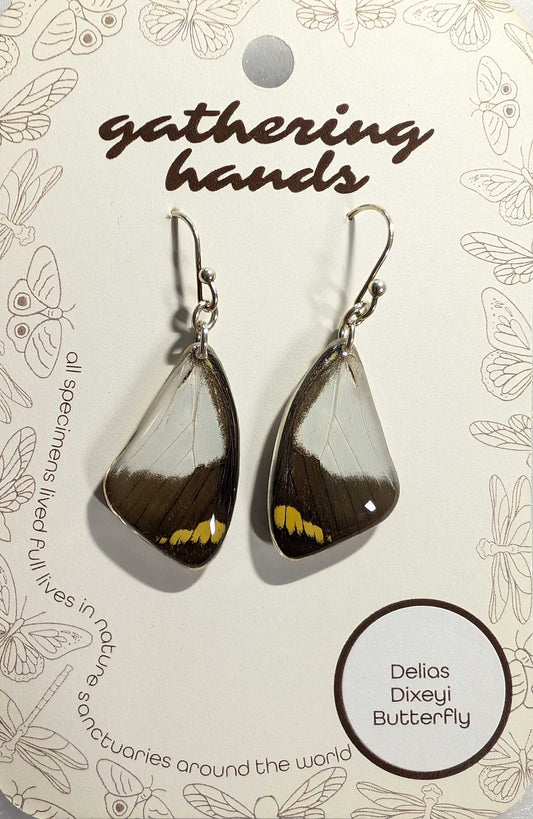 Delias Dixeyi Forewing Earrings