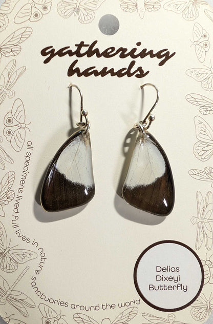 Delias Dixeyi Forewing Earrings