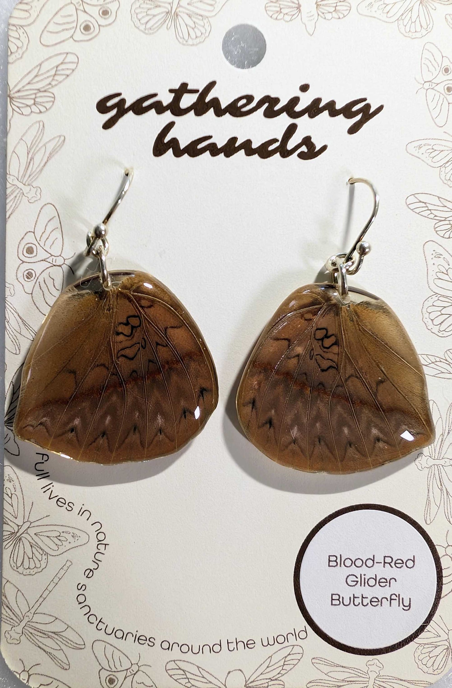 Blood-Red Glider Hindwing Earrings