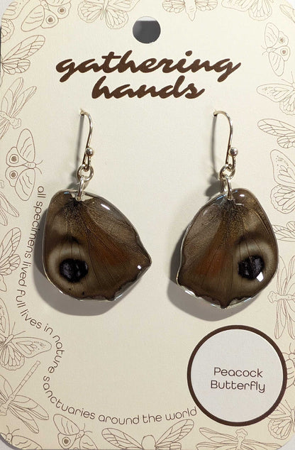 Peacock Hindwing Earrings