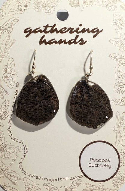 Peacock Hindwing Earrings