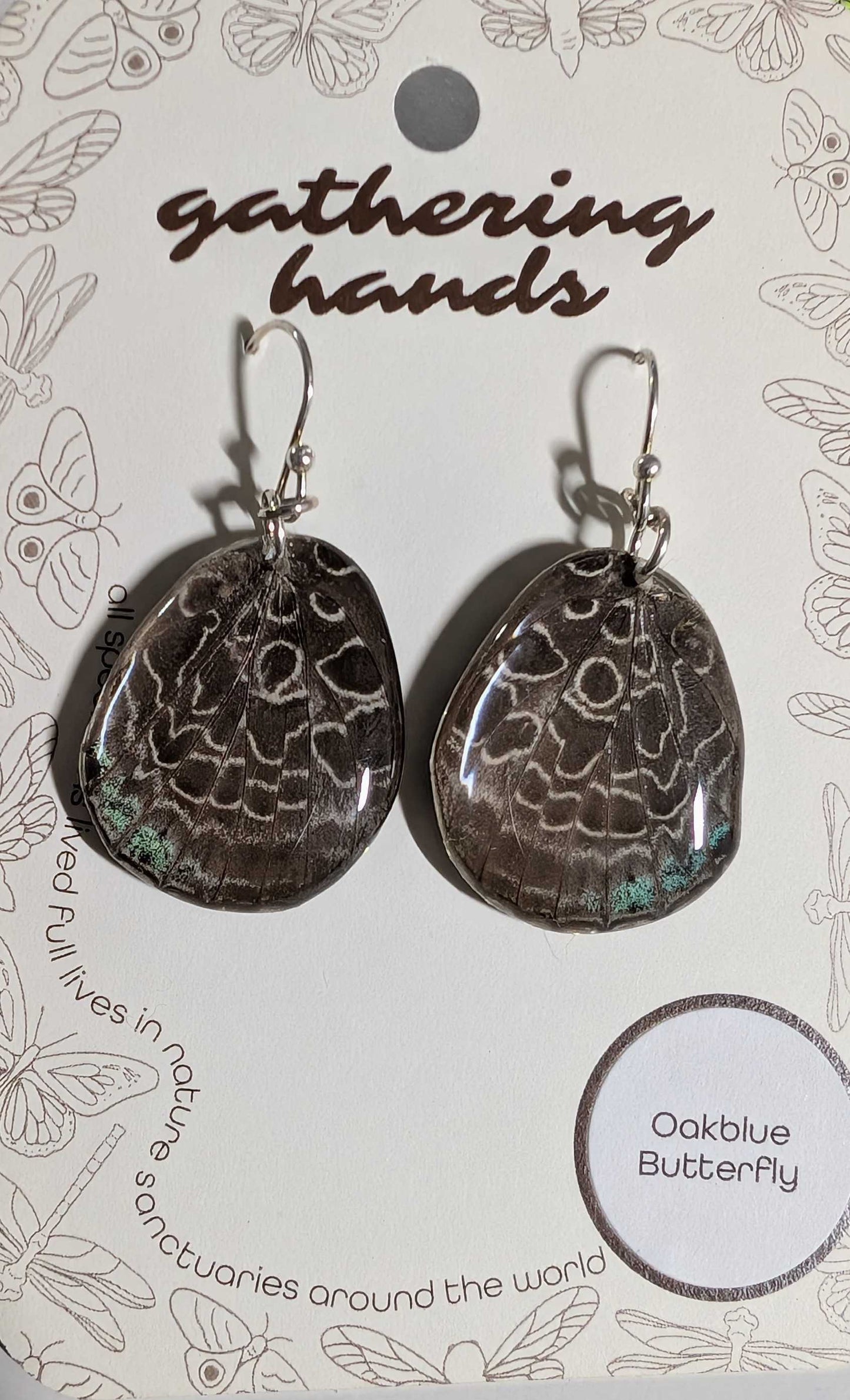 Oakblue Hindwing Earrings