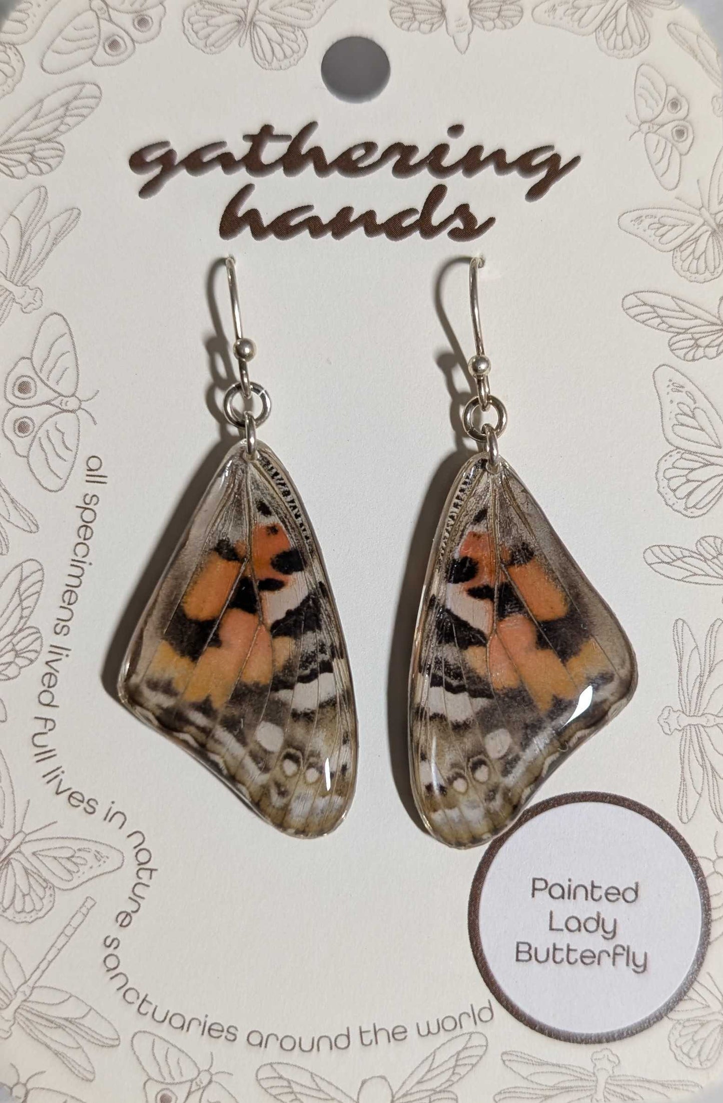Painted Lady Forewing Earrings