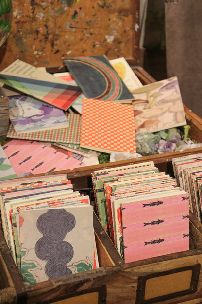 Field Journals, Assorted