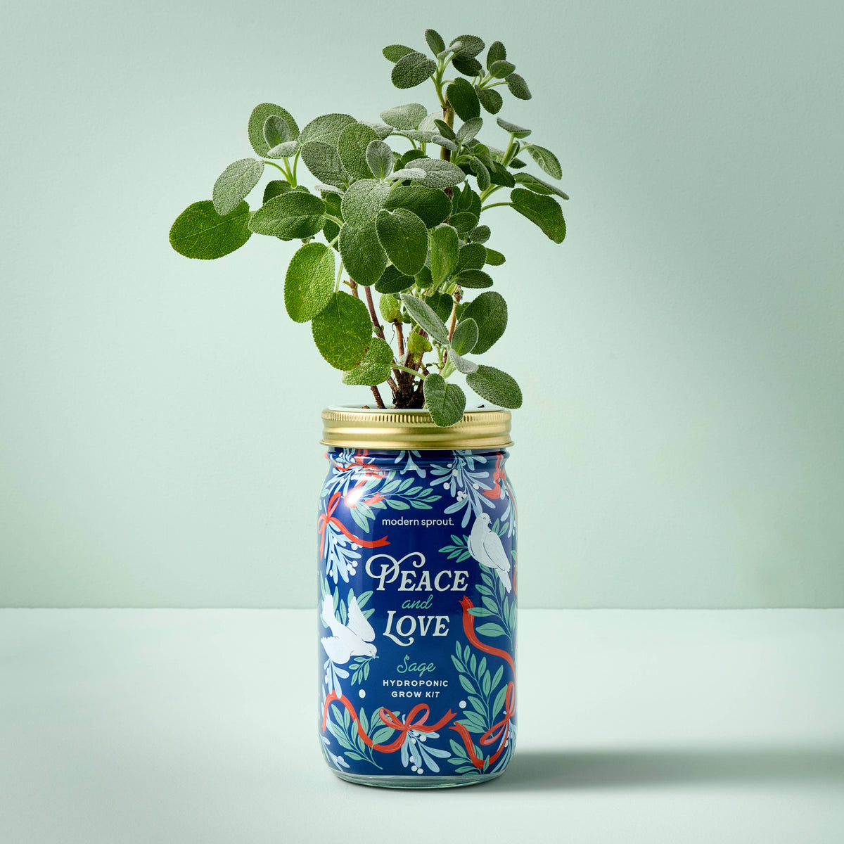 Holiday Herb Garden Jar: Sage