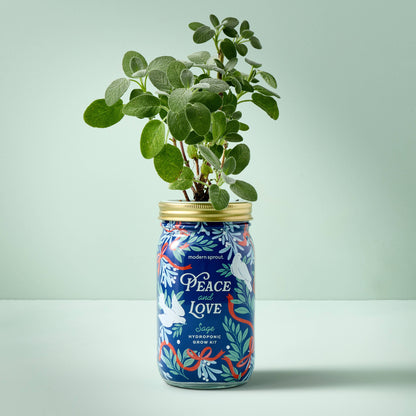 Holiday Herb Garden Jar: Sage