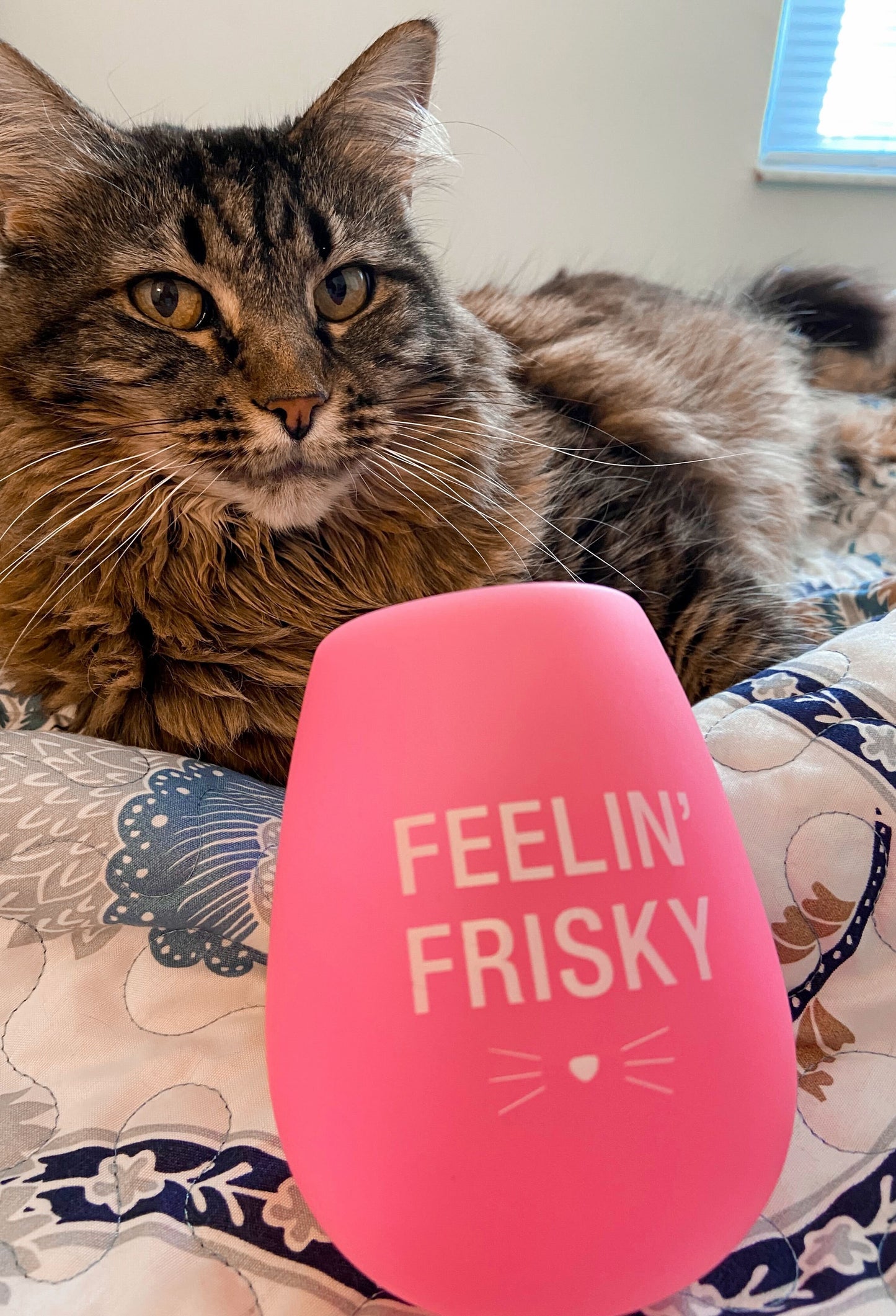 Feelin Frisky Silicone Wine Glass
