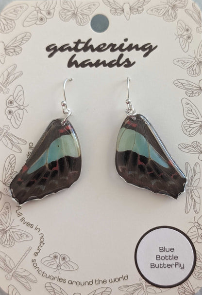 Blue Bottle Hindwing Earrings