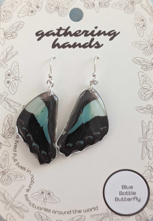Blue Bottle Hindwing Earrings