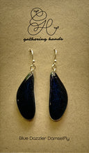 Load image into Gallery viewer, Blue Dazzler Damselfly Forewing Earrings
