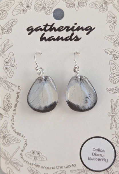 Delias Dixeyi Hindwing Earrings
