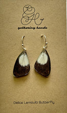 Load image into Gallery viewer, Delias Lemoulti Forewing Earrings
