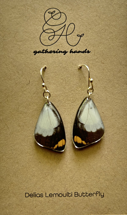 Delias Lemoulti Forewing Earrings