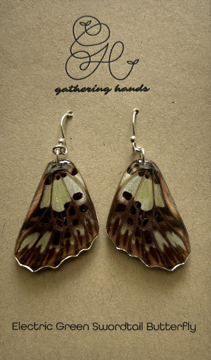 Electric Green Swordtail Hindwing Earrings