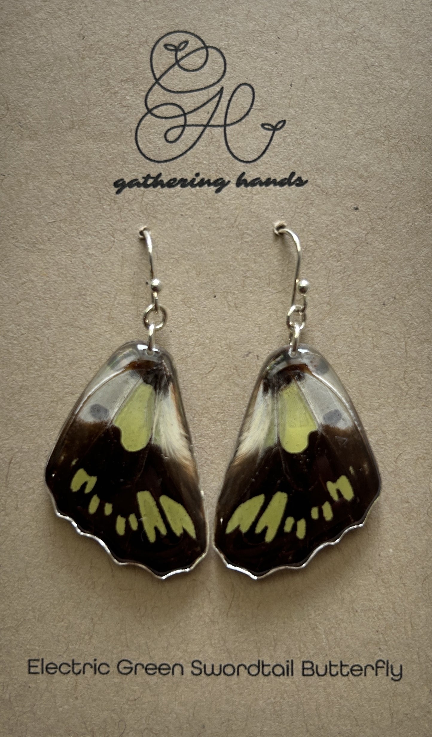 Electric Green Swordtail Hindwing Earrings