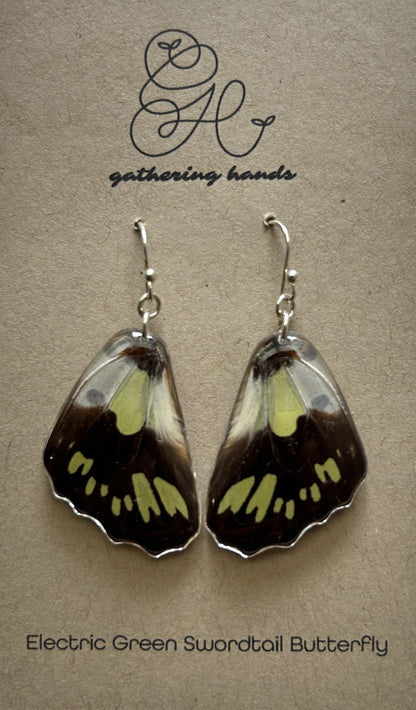Electric Green Swordtail Hindwing Earrings