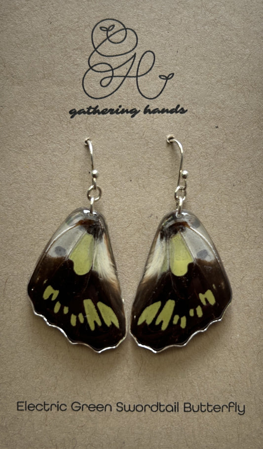Electric Green Swordtail Hindwing Earrings