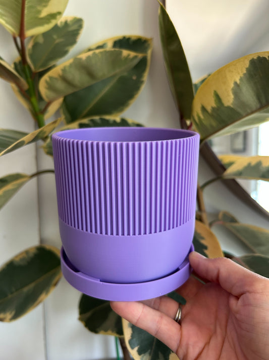 Textured Planter with Drip Tray
